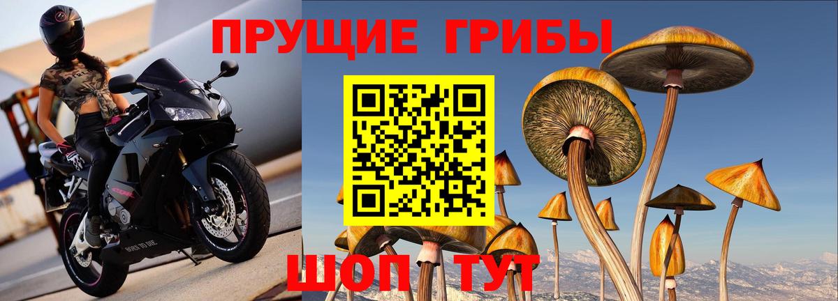 Грязи  Галлюциногенные грибы MAGIC MUSHROOMS  Вход с VPN 